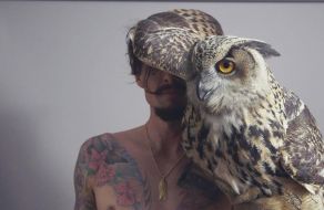 Justin Hawkins