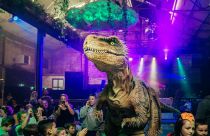 Teach Rex: Dinosaur Show